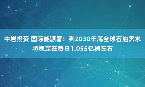 中岩投资 国际能源署：到2030年底全球石油需求将稳定在每日1.055亿桶左右
