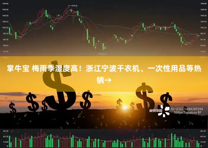 掌牛宝 梅雨季湿度高！浙江宁波干衣机、一次性用品等热销→
